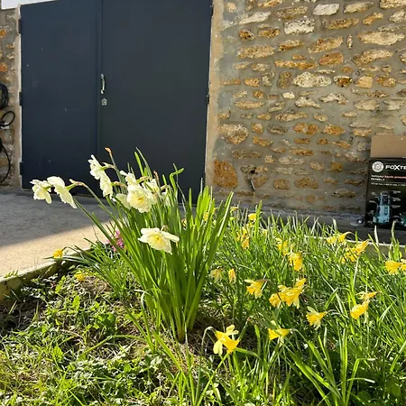 Apartment Cozy With Garden Vitry-sur-Seine